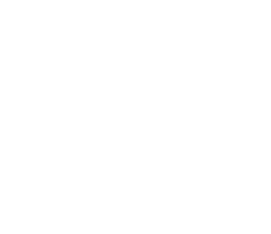 Palindrome Research Labs